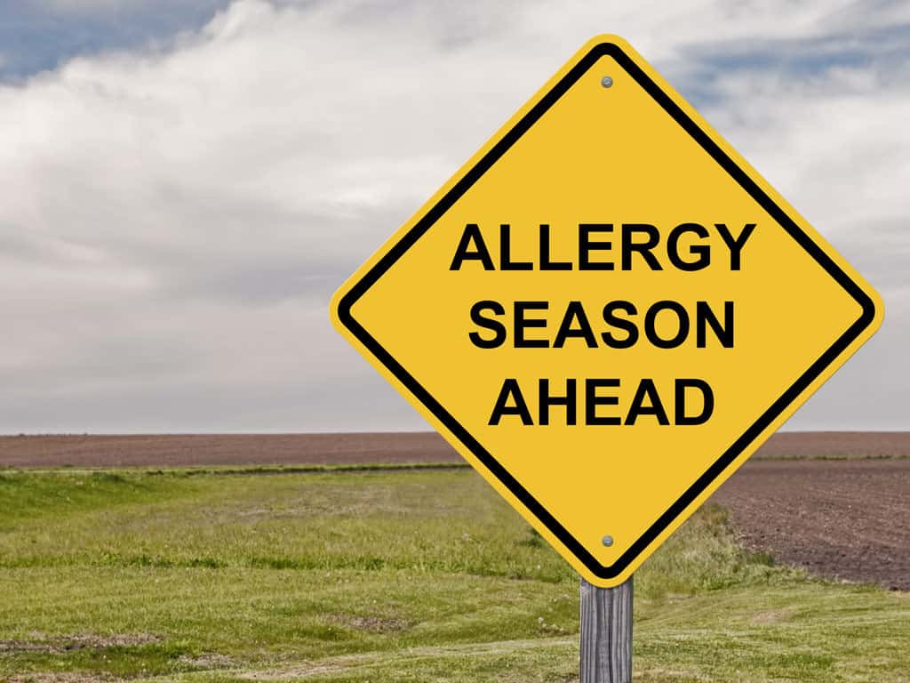 Allergy Season Ahead Street Sign